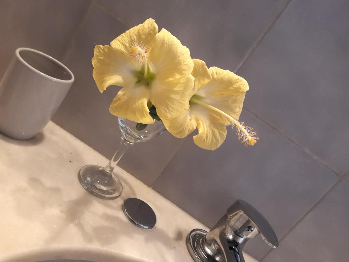 Apto Tipo Loft En Complejo Bahama, A Metros Del Mar Y Zona Muy Tranquila Punta del Este Buitenkant foto